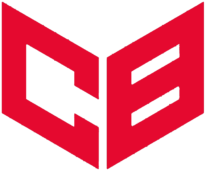 CareerBridge